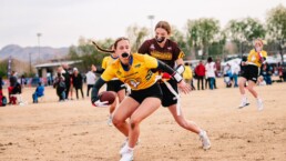 STEM and Sports image