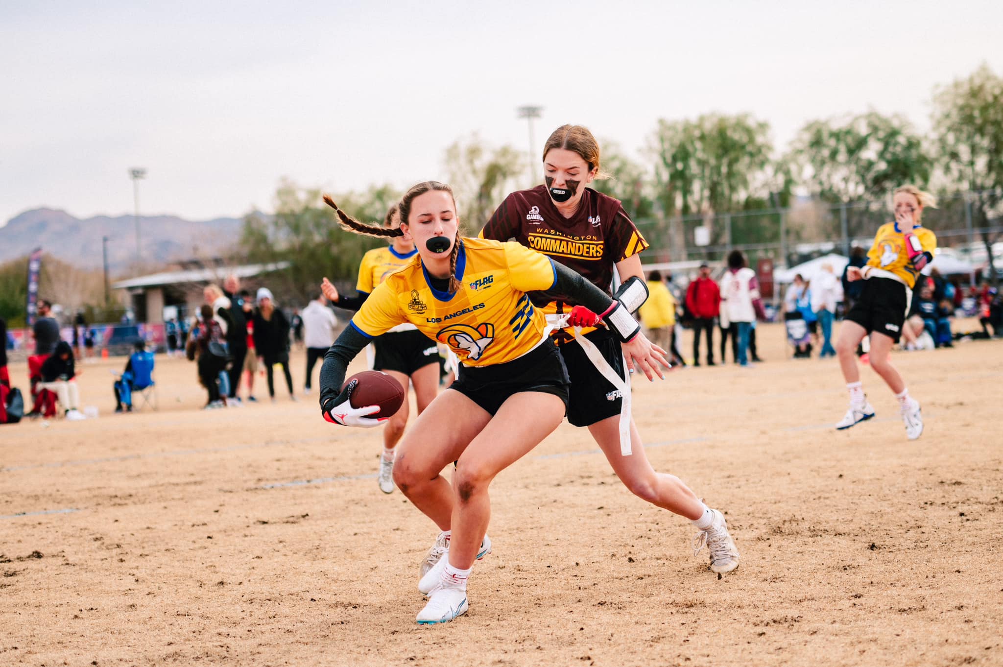 STEM and Sports image